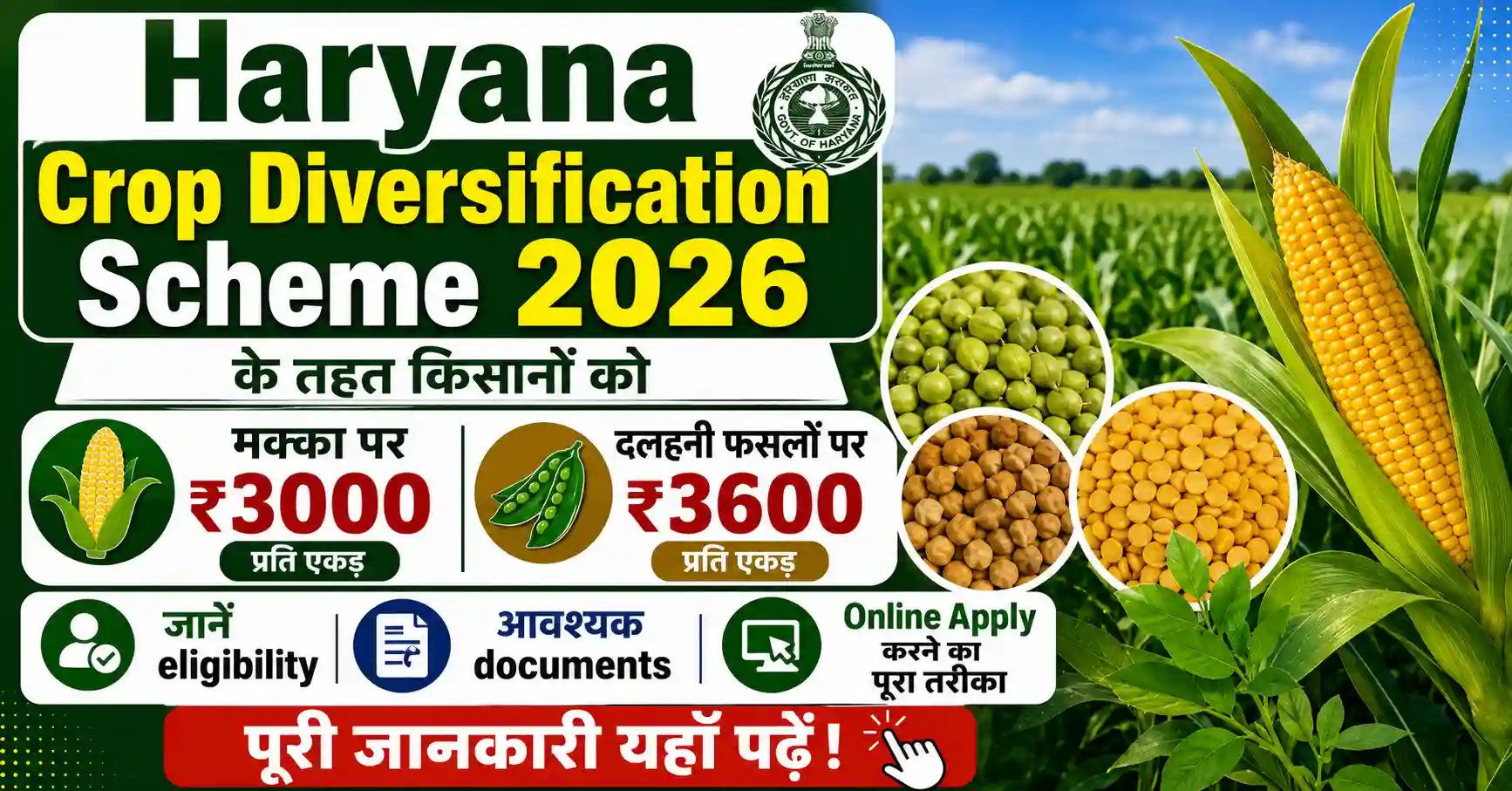Haryana Crop Diversification Scheme 2026: किसानों को मिलेंगे ₹3600 प्रति एकड़, जानें पूरी जानकारी और आवेदन प्रक्रिया